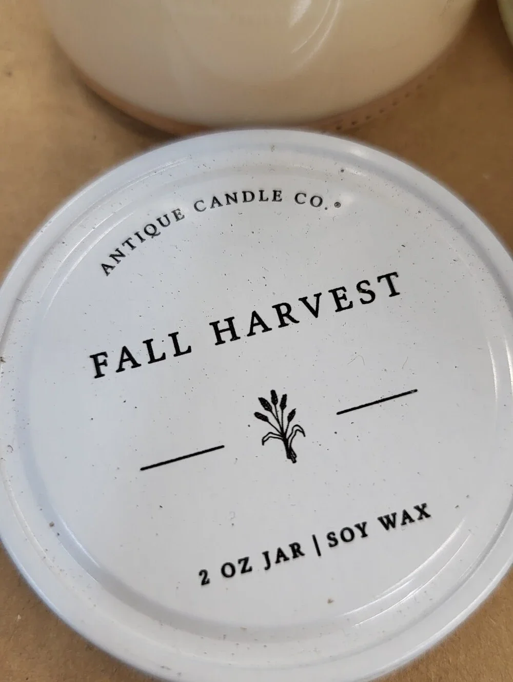 Fall Harvest & Sandalwood Rose Soy Candles - White